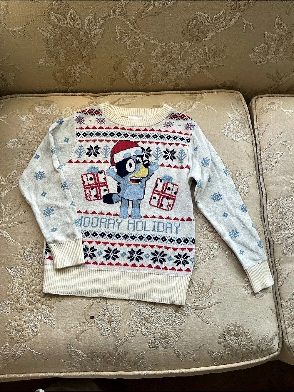 Bluey Christmas Hooray Long-Sleeve Bluey Sweater Boys 3T